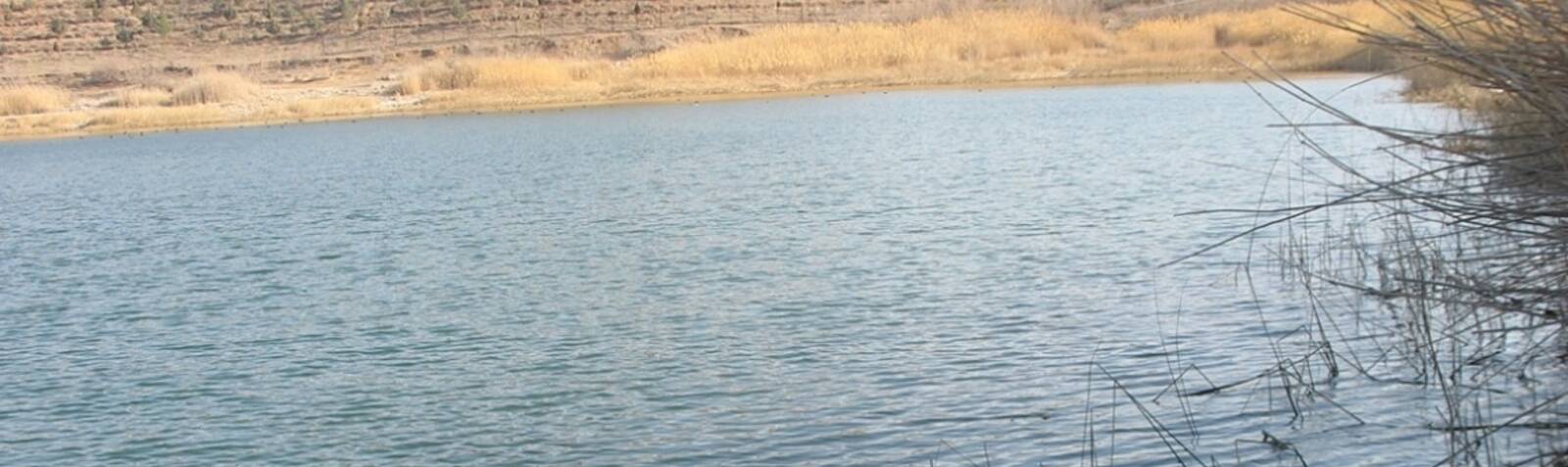 Bazangan lake